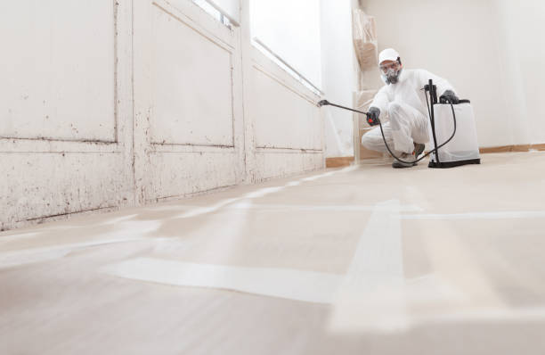 24/7 Emergency Mold Testing experts in Quincy, WA