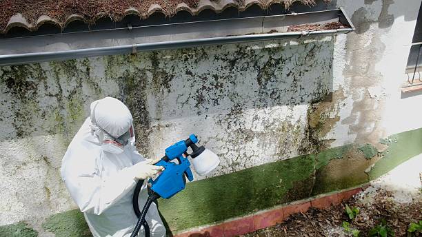 Top rated local Mold Remediation specialists in Quincy, WA